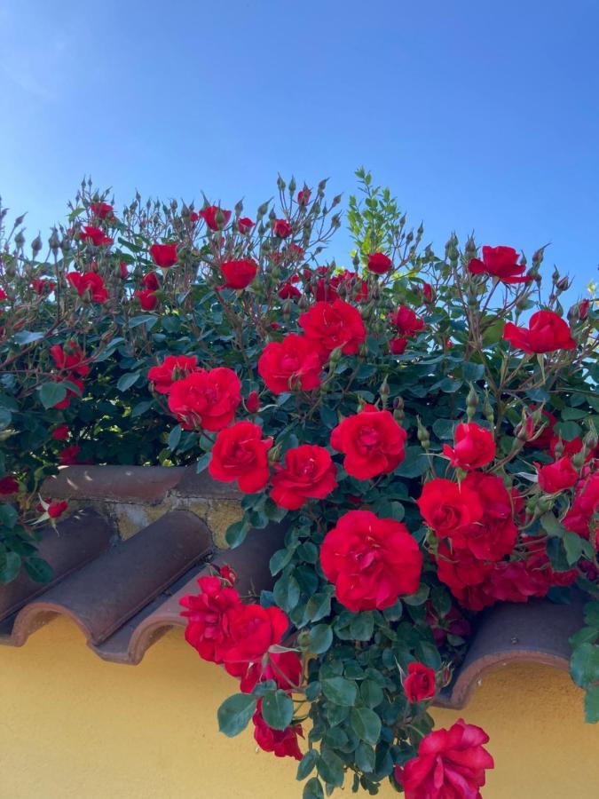 La Rosa Del Lago Bracciano  Buitenkant foto