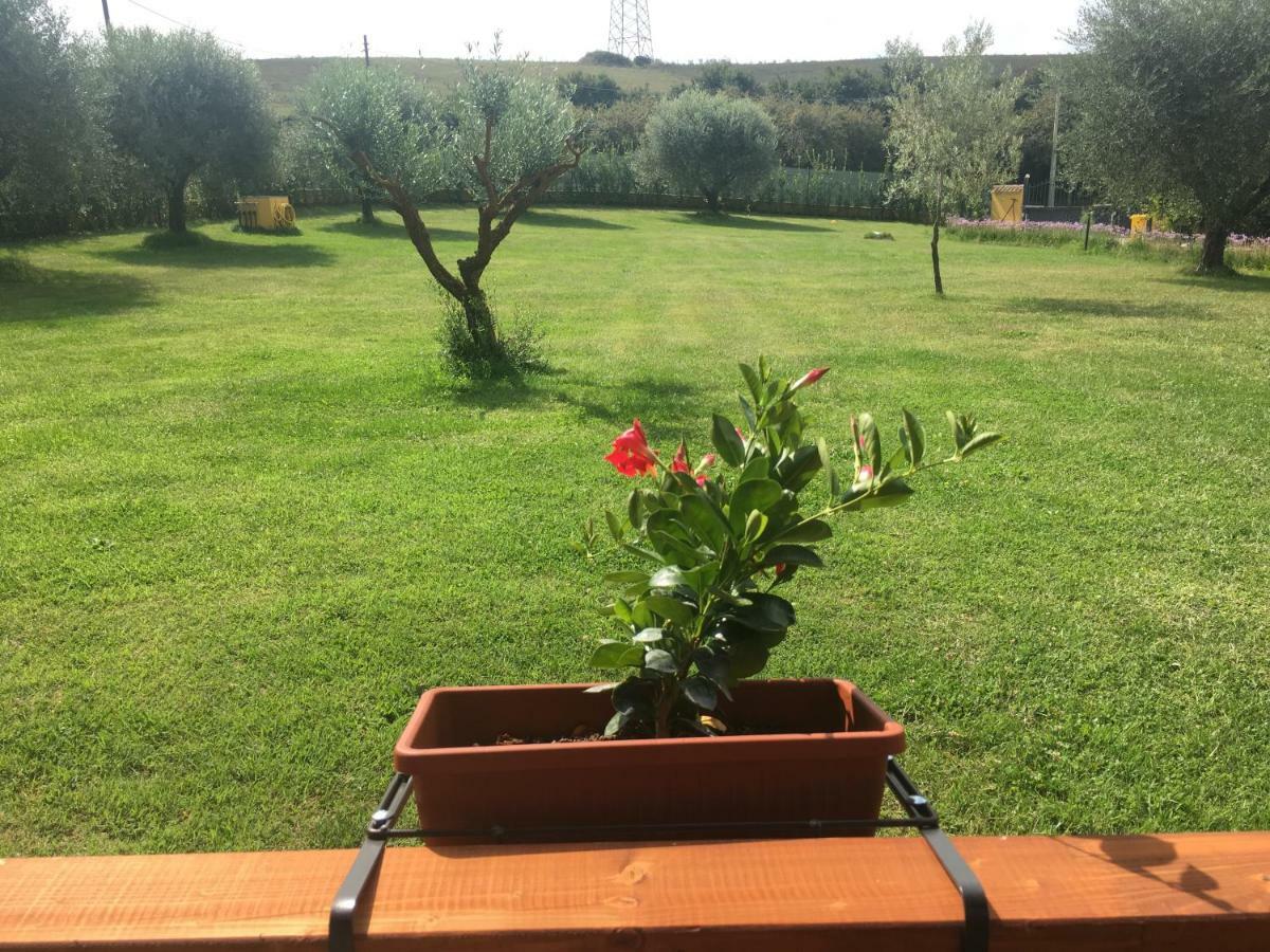 La Rosa Del Lago Bracciano  Buitenkant foto