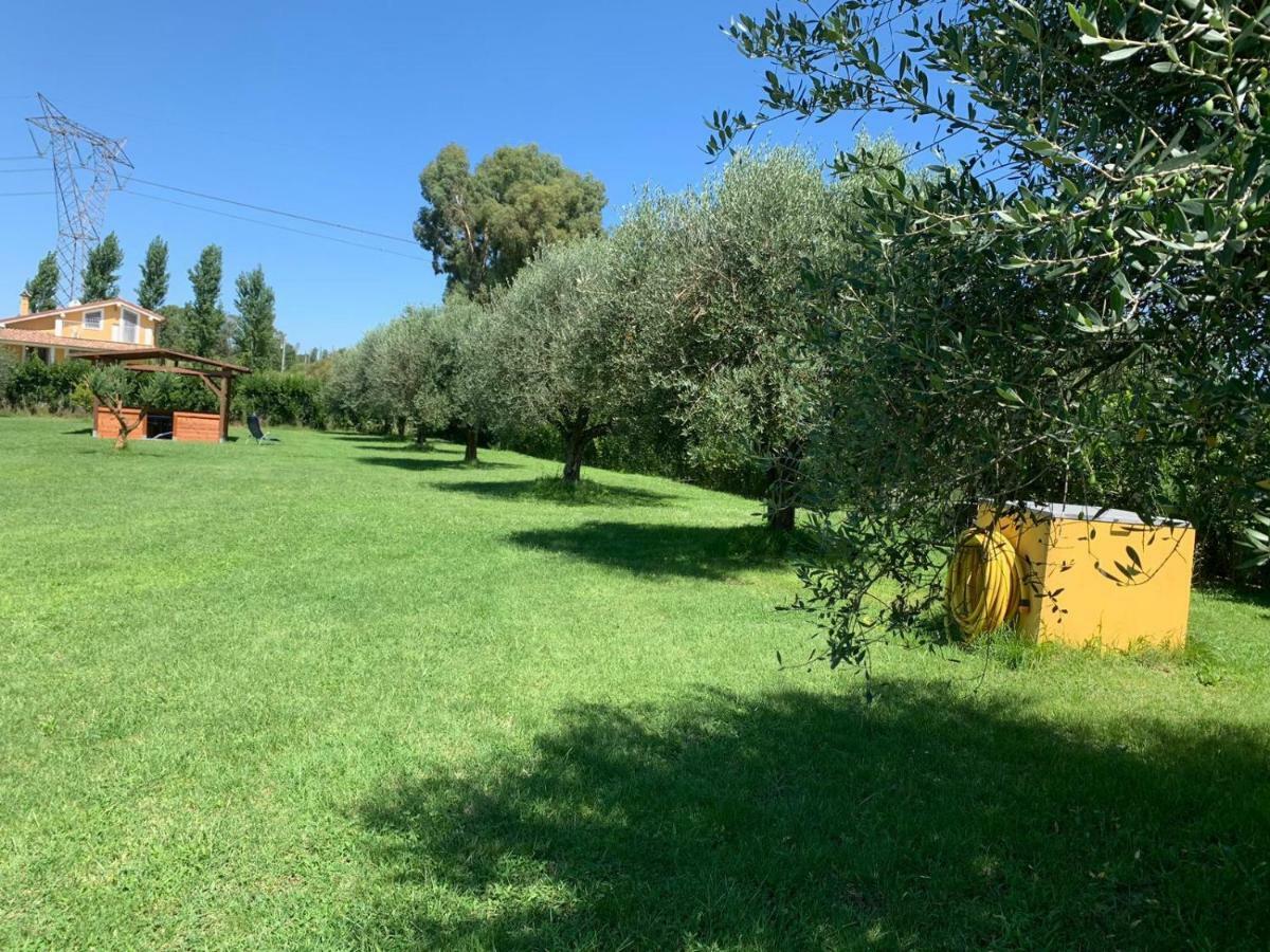 La Rosa Del Lago Bracciano  Buitenkant foto